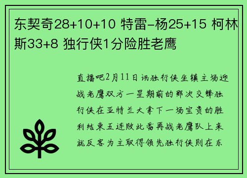 东契奇28+10+10 特雷-杨25+15 柯林斯33+8 独行侠1分险胜老鹰